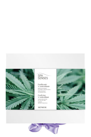 Purifying & Antioxidant | Spa Senses Kit
